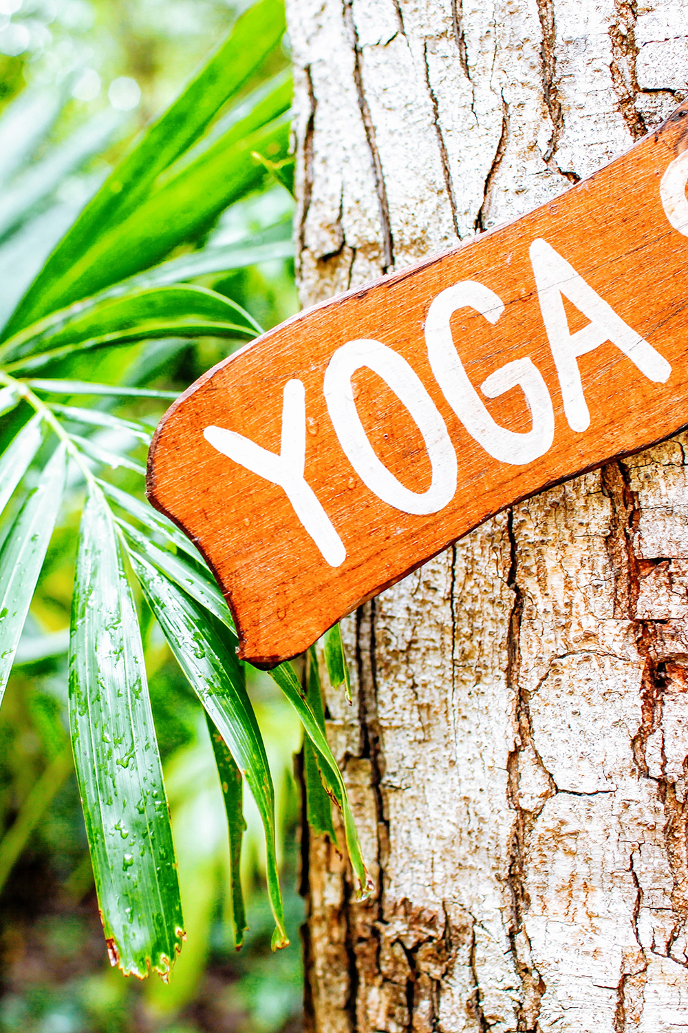 Percorso Dello Yoga